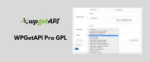 WPGetAPI