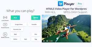 bzplayer Pro